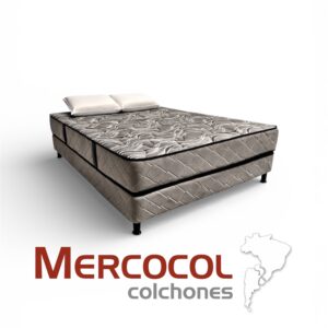 Conjunto Empoli Mercocol